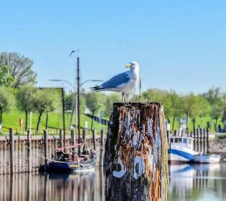 Storchennest Welt
